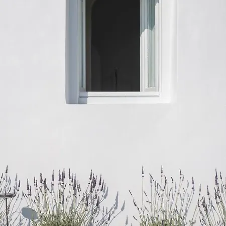 Villa Dio Villa
